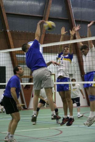 C.O.V. Volley Ball 2