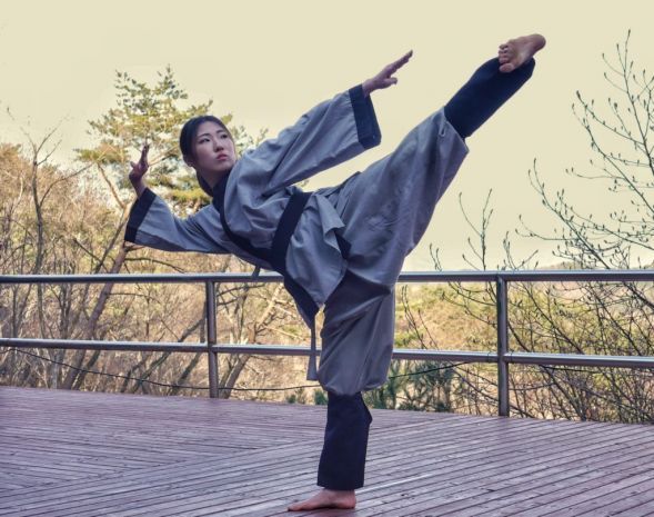 Dokwan Sonmudo Cesson Vert-Saint-Denis 7