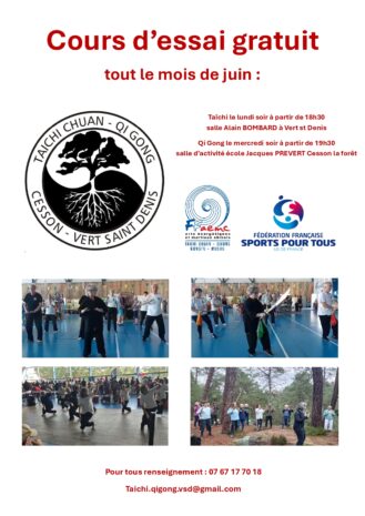Taï Chi Chuan et Qi Gong Cesson-Vert-Saint-Denis 1