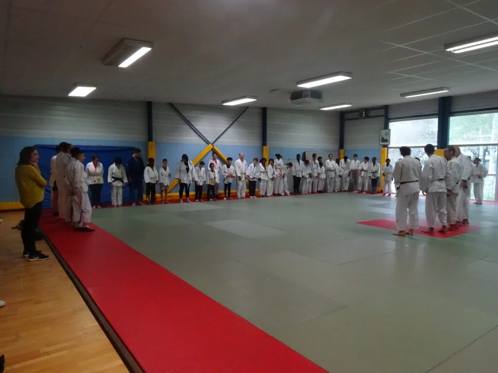 Regroupement handi-judo : entraide et bonne humeur ! 1