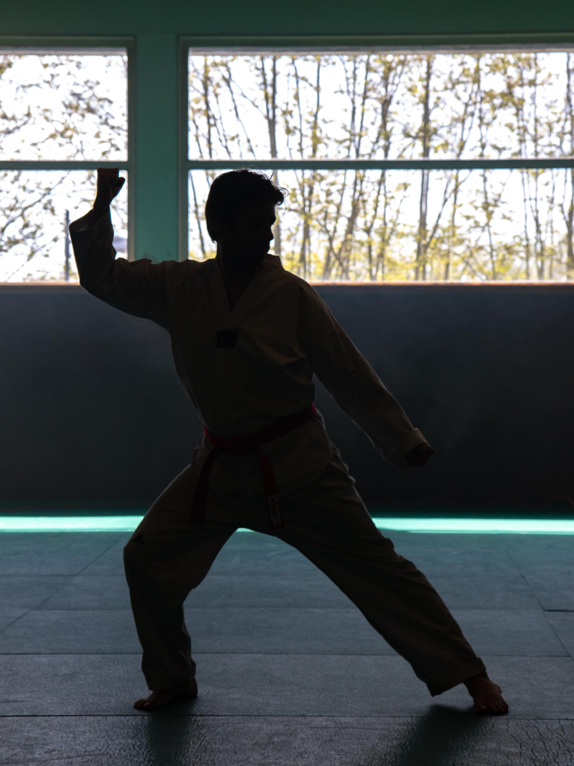 Deux sportives d’exception à l’honneur : Éryne et Saliya, visages du Taekwondo au féminin 12