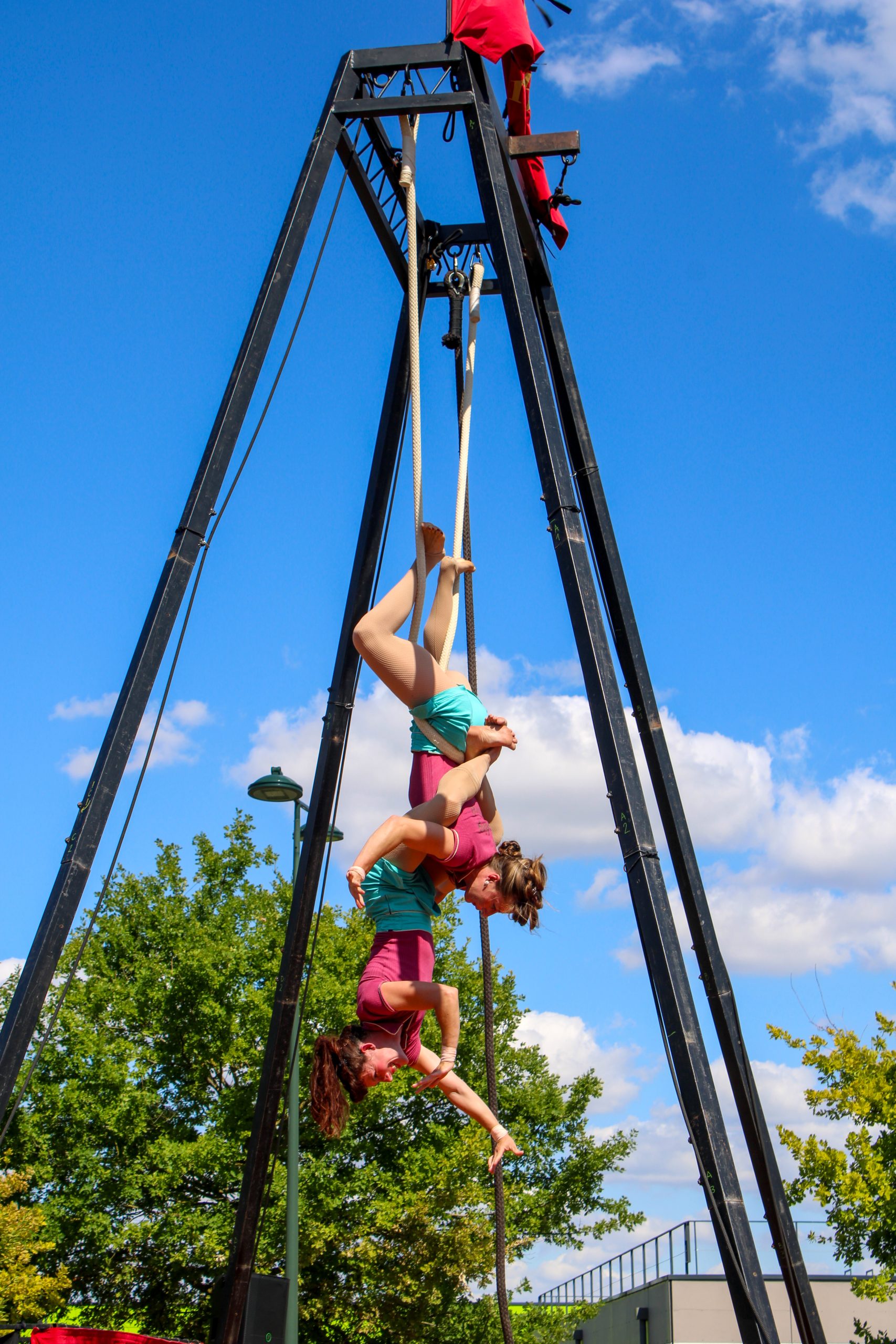 Retour sur le Festi'Galerie : un mois de juillet haut en couleurs ! 15