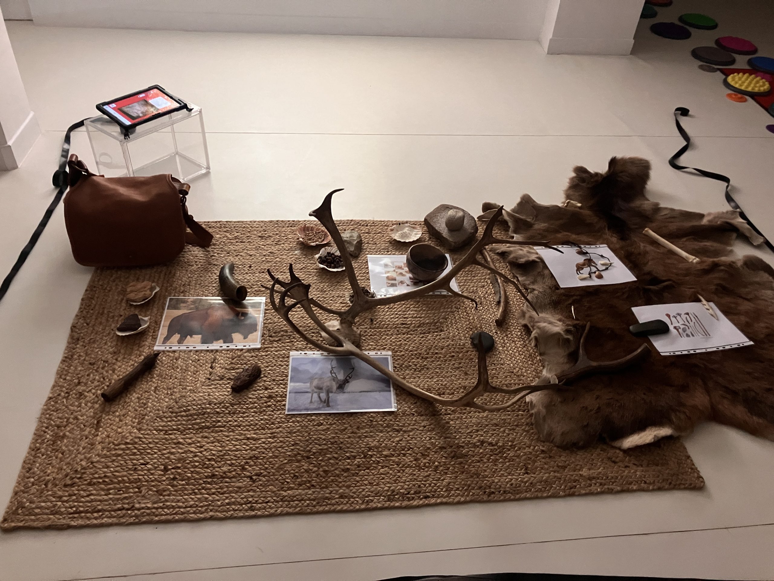 Un prêt exceptionnel du Musée de la Préhistoire de Nemours : la Micro-Folie fait voyager dans le temps 1