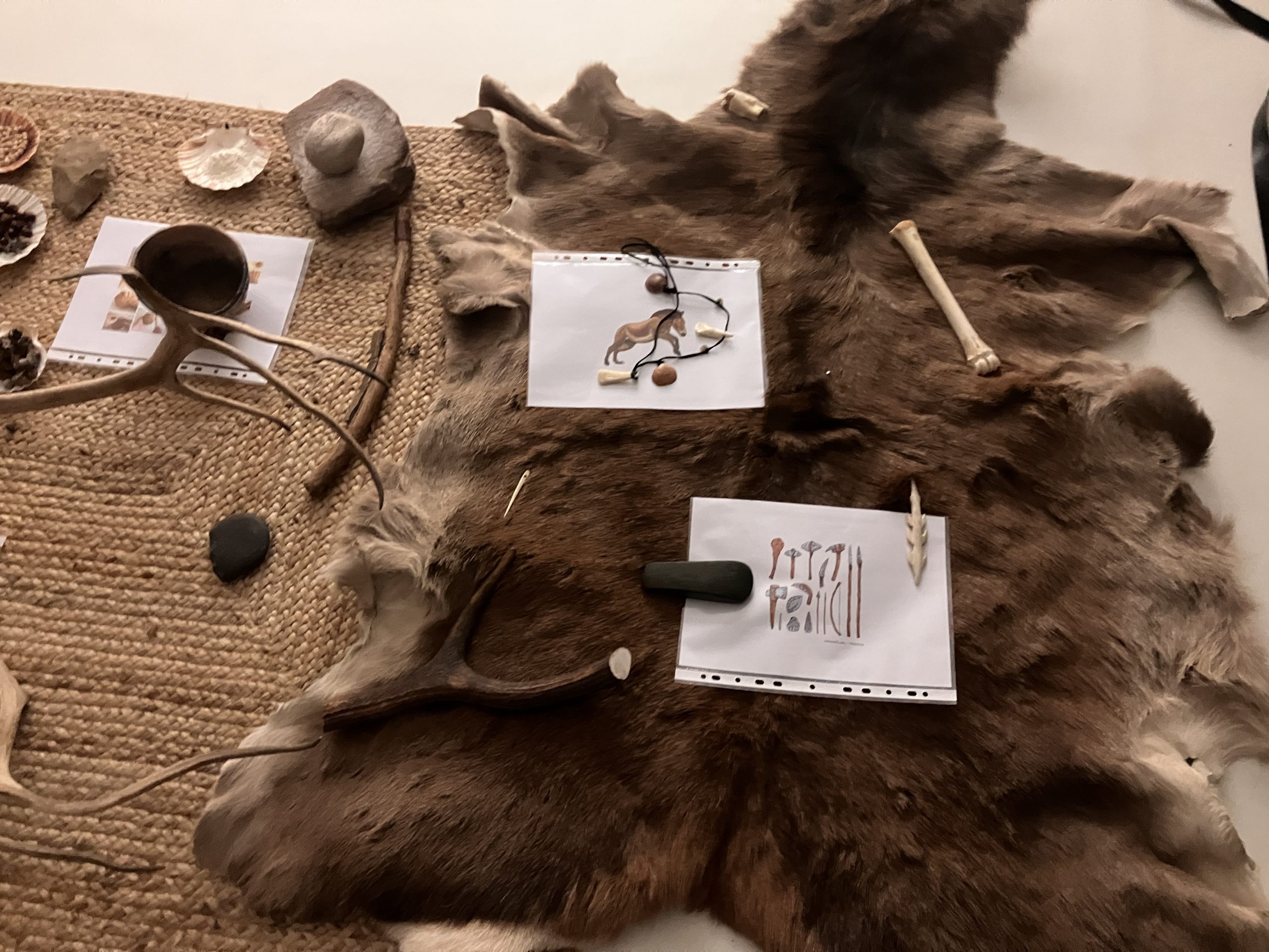 Un prêt exceptionnel du Musée de la Préhistoire de Nemours : la Micro-Folie fait voyager dans le temps 5