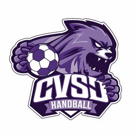 Une journée festive et fédératrice pour le CVSD Handball 2