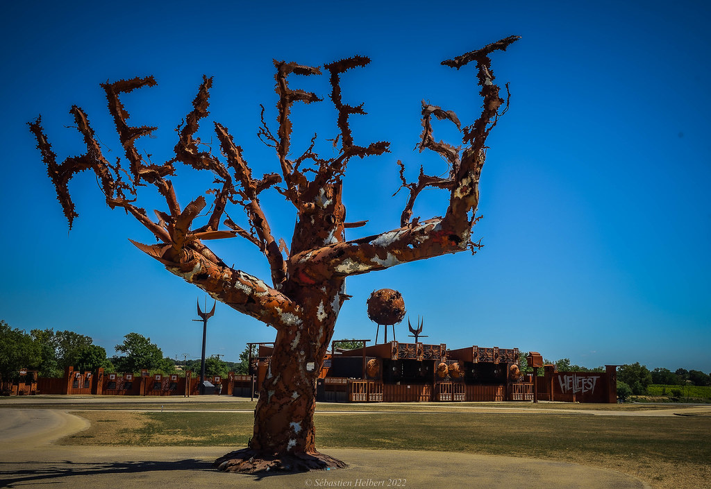 Découverte de la Collection Environnement au musée numérique 3