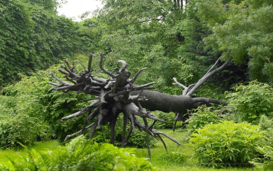 Découverte de la Collection Environnement au musée numérique 2