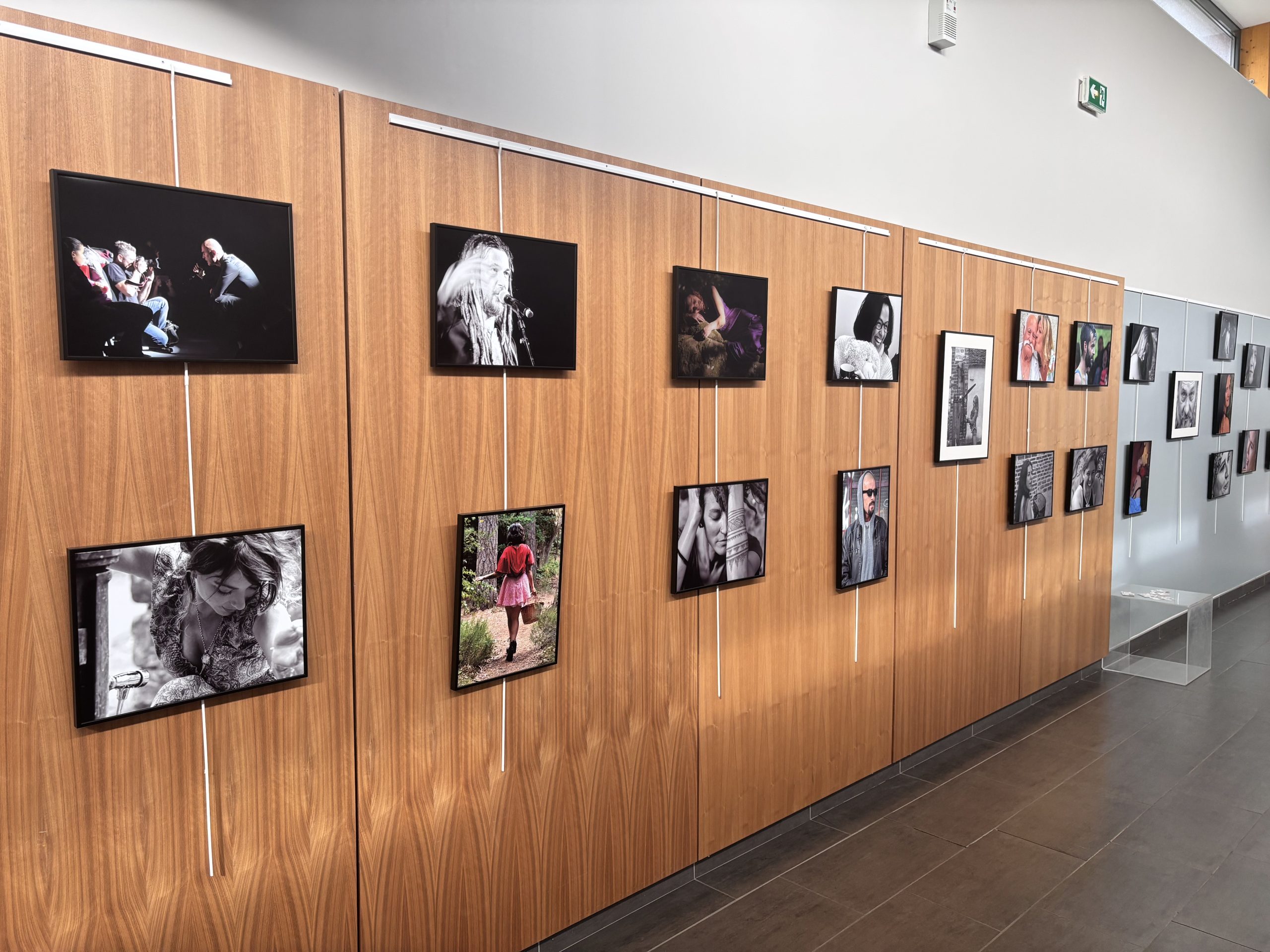 Retour sur le vernissage de l’exposition Animus de Romanito Suerte 3