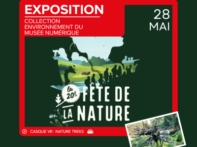 Découverte de la Collection Environnement au musée numérique 4