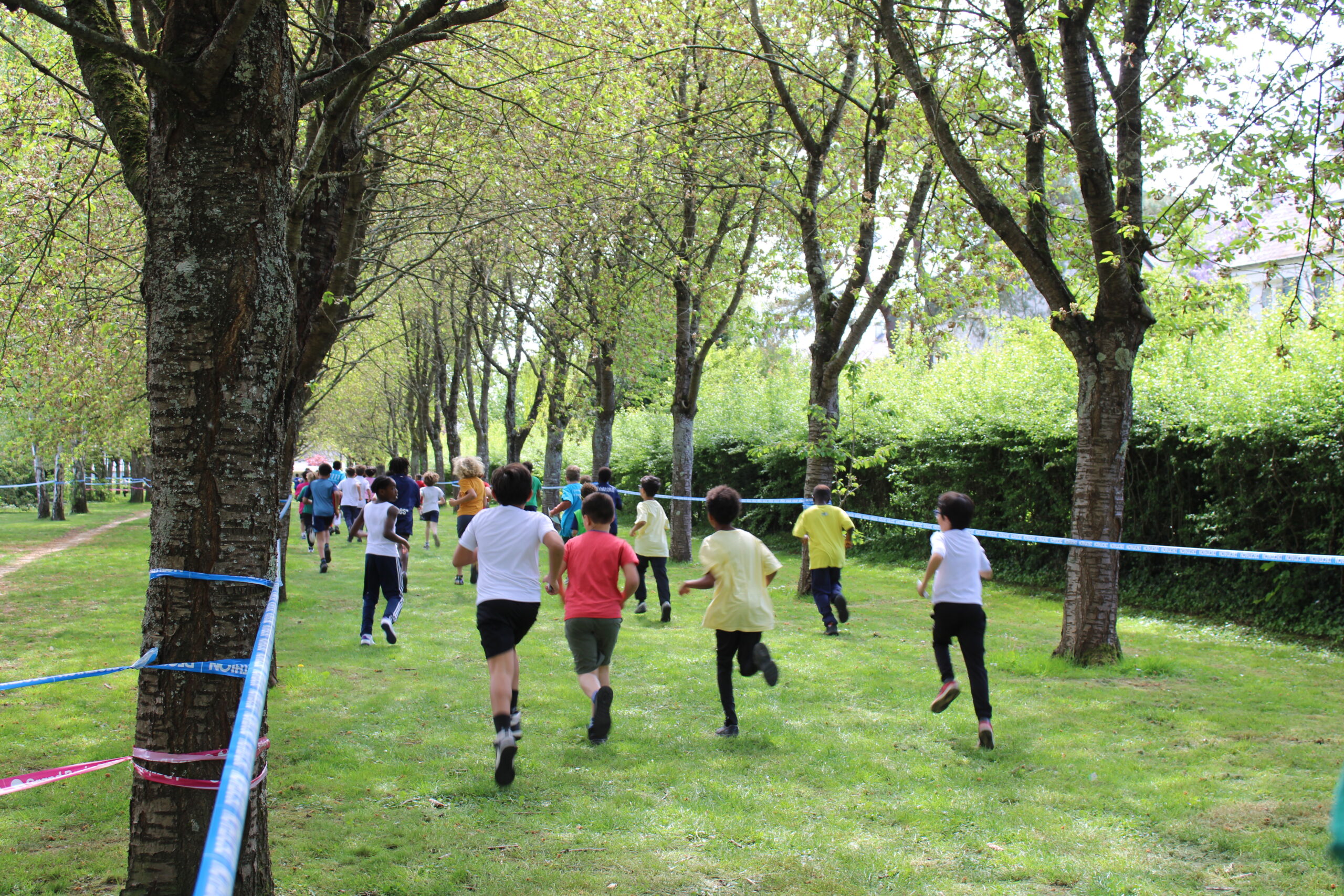 Une journée de cross réussie pour les écoles 3