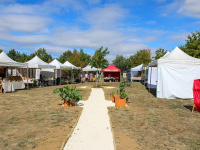 Le Jardin du Patrimoine en fête : une journée placée sous le signe de la nature, du patrimoine et de la convivialité 4