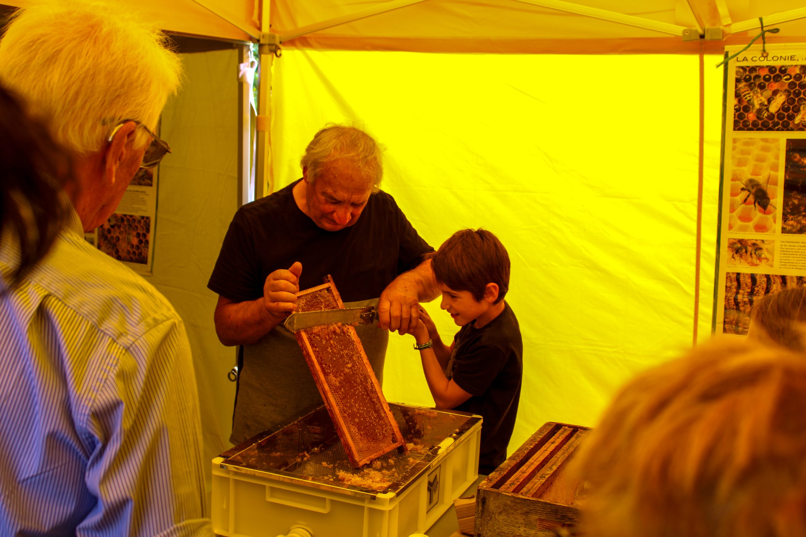 Le Jardin du Patrimoine en fête : une journée placée sous le signe de la nature, du patrimoine et de la convivialité 5